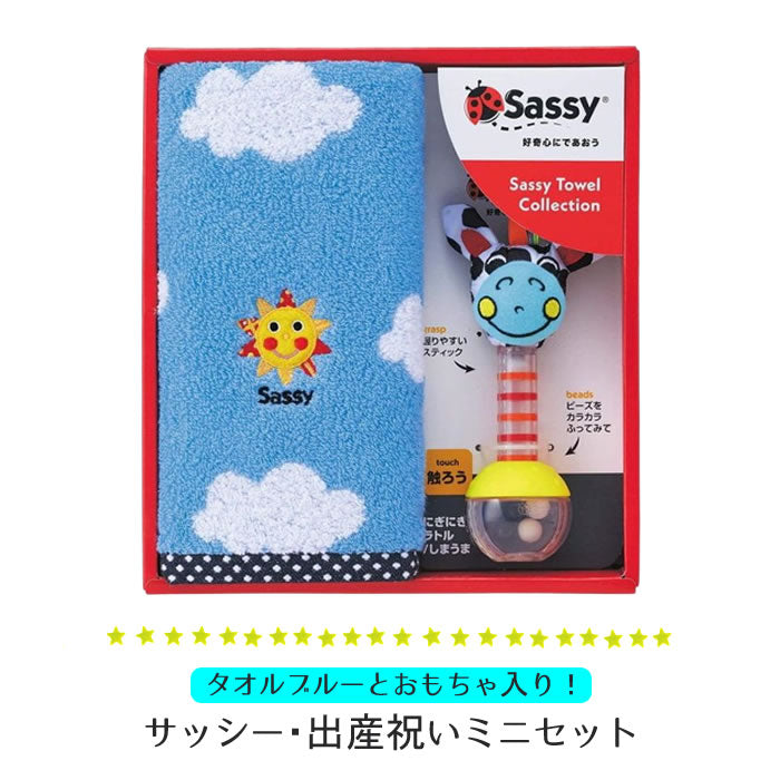 Sassy Baby Shower Mini Set/Blue