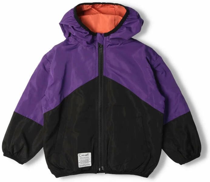 Crescent color combination jacket for boys