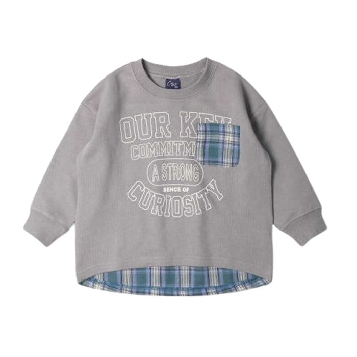 Crescent Check Pattern Fleece Sweatshirt