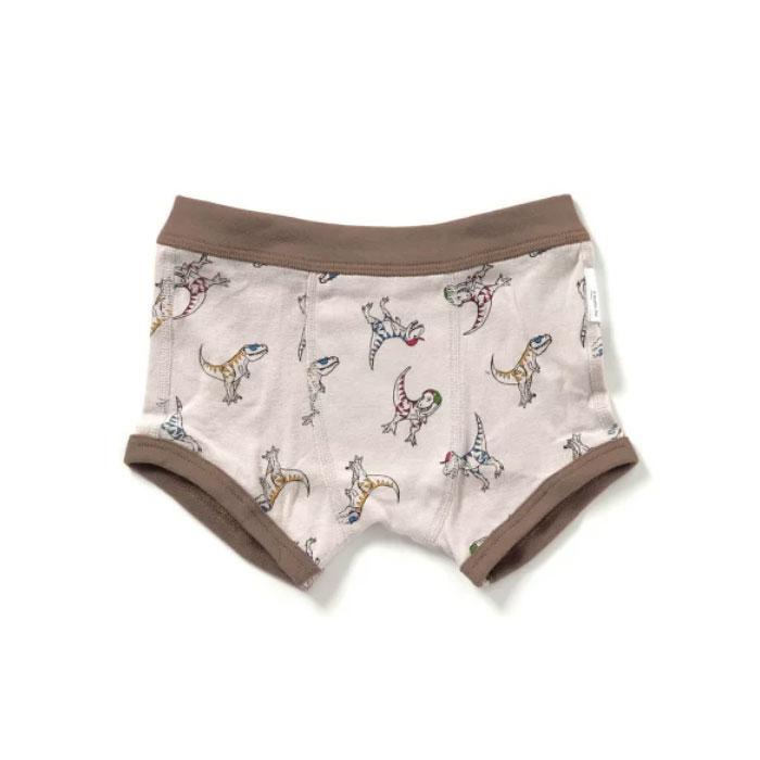Ampersand 3P Boys Boxer Shorts