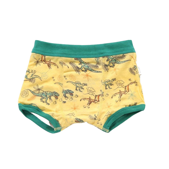 Ampersand 3P Boys Boxer Shorts