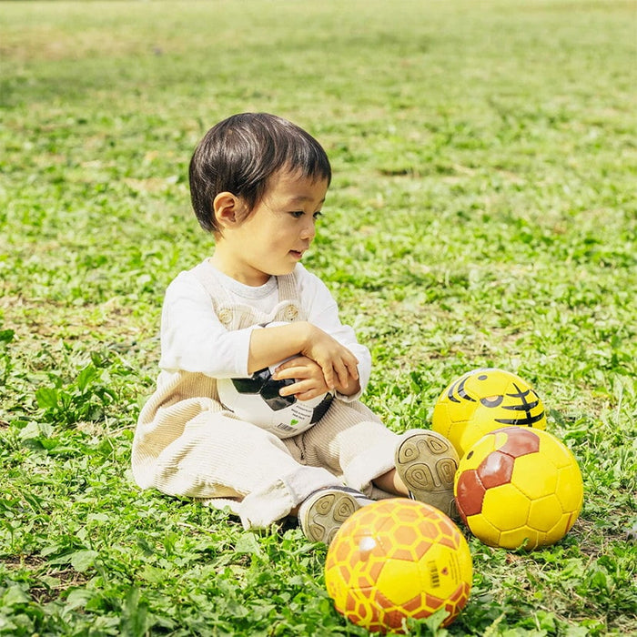 sfida football zoo