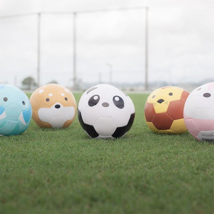 sfida football zoo