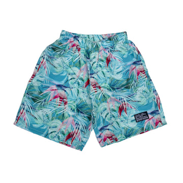 リーフプラント