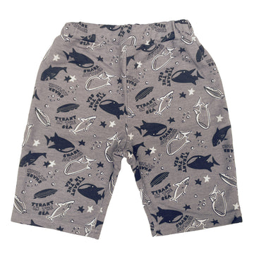 242320/ジンベエザメ/グレー