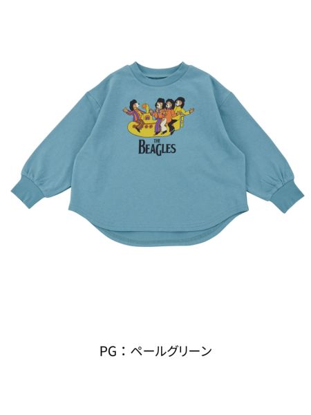 Ocean&Ground color-pg