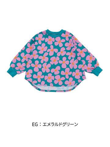 4646006/エメラルドグリーン