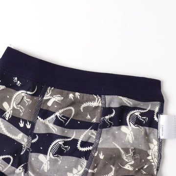 Ampersand 3P Boys Boxer Shorts
