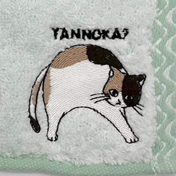 タオルハンカチ ミニタオル 20cm