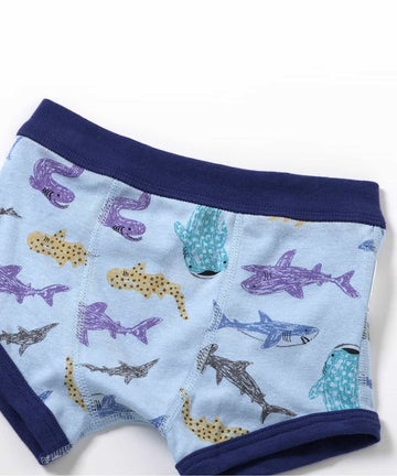 Ampersand アンパサンド 3P対象 男児 バラエティボクサーパンツA