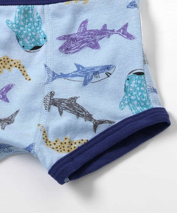 Ampersand アンパサンド 3P対象 男児 バラエティボクサーパンツA