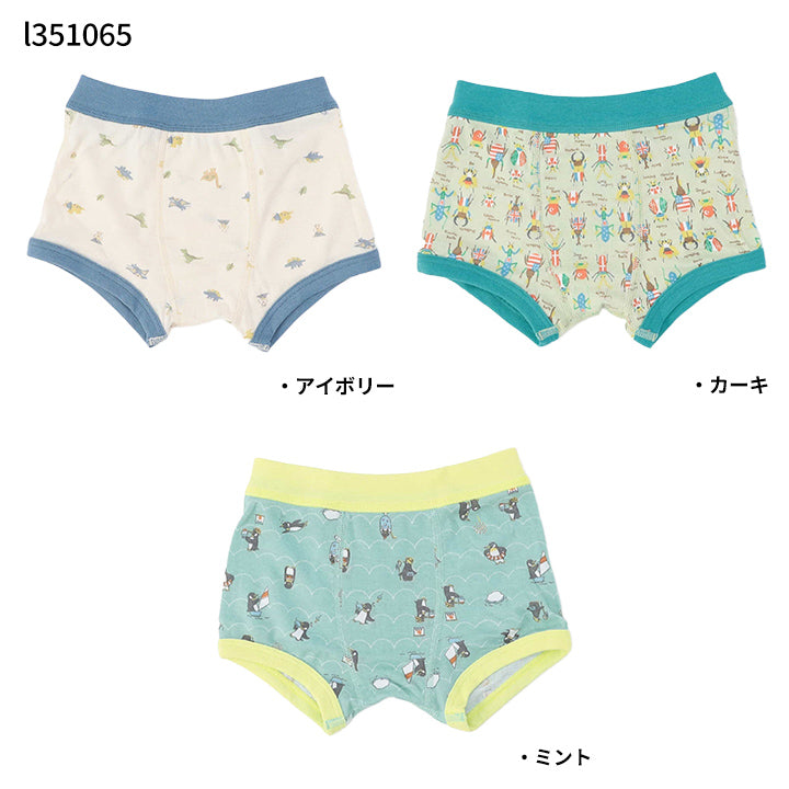 Ampersand アンパサンド 3P対象 男児 バラエティボクサーパンツE