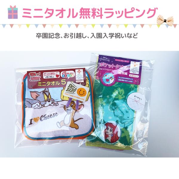 タオルハンカチ ハンカチ ミニタオル タオル 子ども ミニハンカチ キッズ レディース ネコ 20cm 保育園 幼稚園 男の子 女の子 入園入学 ポケット かわいい