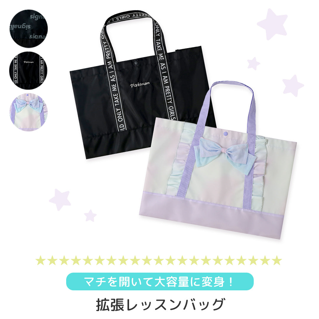 拡張レッスンバッグ ハーモニカバッグ